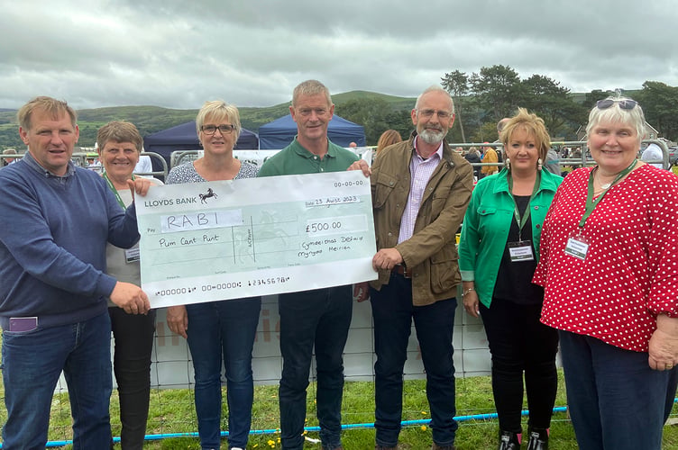 Cymdeithas Defaid Mynydd Meirion