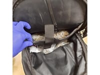 Police arrest eight in Pwllheli for drug-related offences