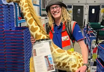 Delivery driver takes giraffe across the UK for ‘life-saving’ surgery