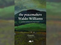 English translation of Waldo Williams poems back in print