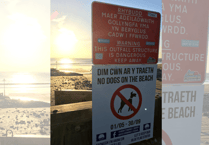 Borth beach dog ban extended for three years