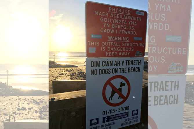 Borth beach dog ban