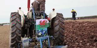 Llanon to host ploughing championships this weekend