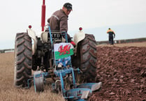 Llanon to host ploughing championships this weekend