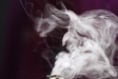 Powys campaign launched to highlight potential harm of vaping