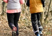 Powys well-being survey launched