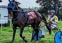 Exciting harness racing at Beulah Show