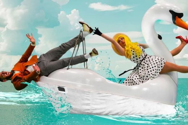 Swan in love