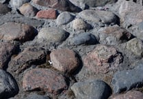 Skilled craftspeople needed to protect Mid Wales' historical buildings