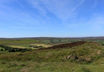 Farmers fear transition to new environment scheme could hit income