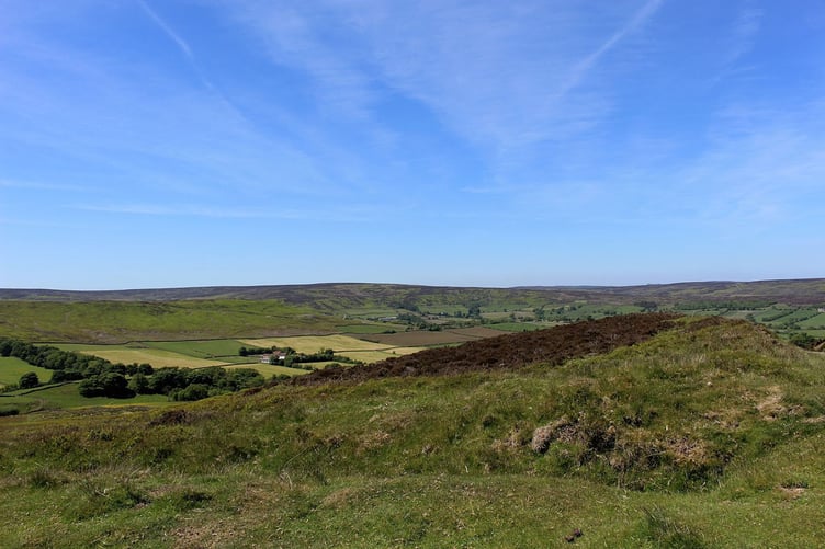 The Habitat Cymru Scheme is set to replace Glastir Advanced, Commons and Organic area-based contracts