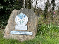 Eryri Park's 100-year tree strategy
