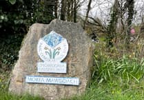 Eryri's ambitious tree strategy unveiled