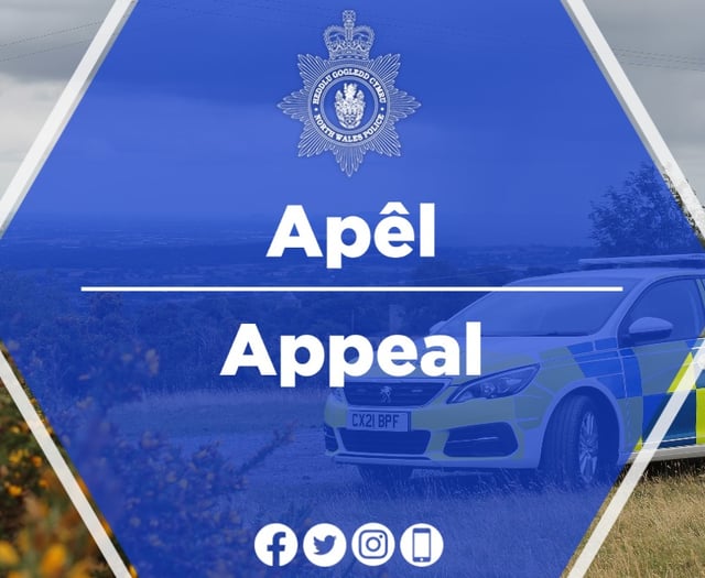 Police appeal for information about Bala crash