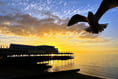 Your fantastic photos of local life and landscape