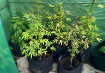 Police launch investigation after drugs found in Tywyn