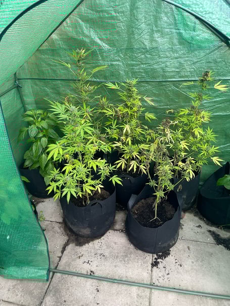 Police recovered drugs in Tywyn