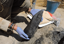 Aber archaeologist helps discover world’s oldest wooden structure 
