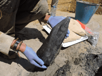 Aber archaeologist helps discover world’s oldest wooden structure 