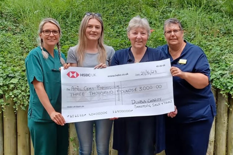 Talsarn Charity Sheepdog