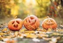 Campaign to encourage good behaviour on Halloween and Bonfire Night