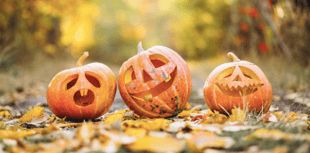 Campaign to encourage good behaviour on Halloween and Bonfire Night