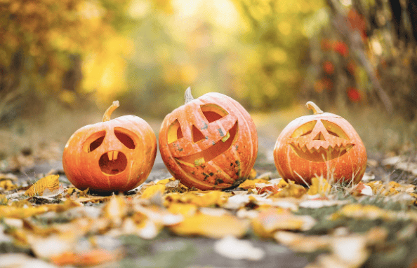 Campaign to encourage good behaviour on Halloween and Bonfire Night