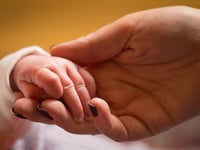 Hundreds of households in kinship care arrangements