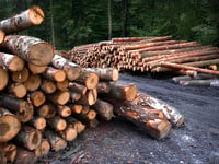 Conference on how to support agricultural, horticultural and forestry workers