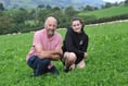 How red clover is helping a Dyfi Valley farm thrive