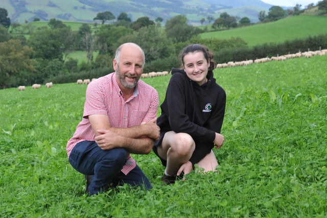 How red clover is helping a Dyfi Valley farm thrive