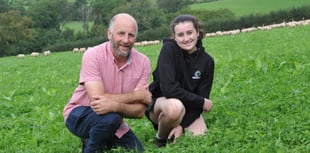 How red clover is helping a Dyfi Valley farm thrive