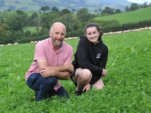 How red clover is helping a Dyfi Valley farm thrive