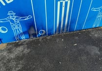 Police launch appeal after playground is damaged