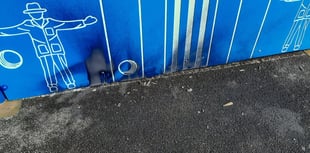 Police launch appeal after playground is damaged