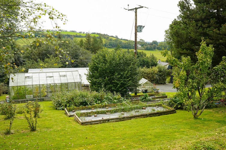 pandy house