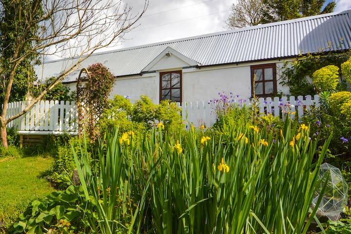 pandy house 