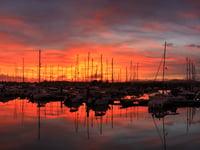 Have your say on harbour development plan