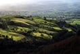 FUW welcomes higher nitrogen limit for 2024