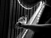 Harp and oud duo all set for Pwllheli concert