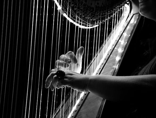 Harp and oud duo all set for Pwllheli concert