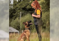Dog trainer shares secrets to working with nervous pups