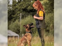 Dog trainer shares secrets to working with nervous pups
