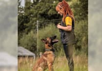 Aber graduate shares secrets of training dogs affected by Covid lockdown