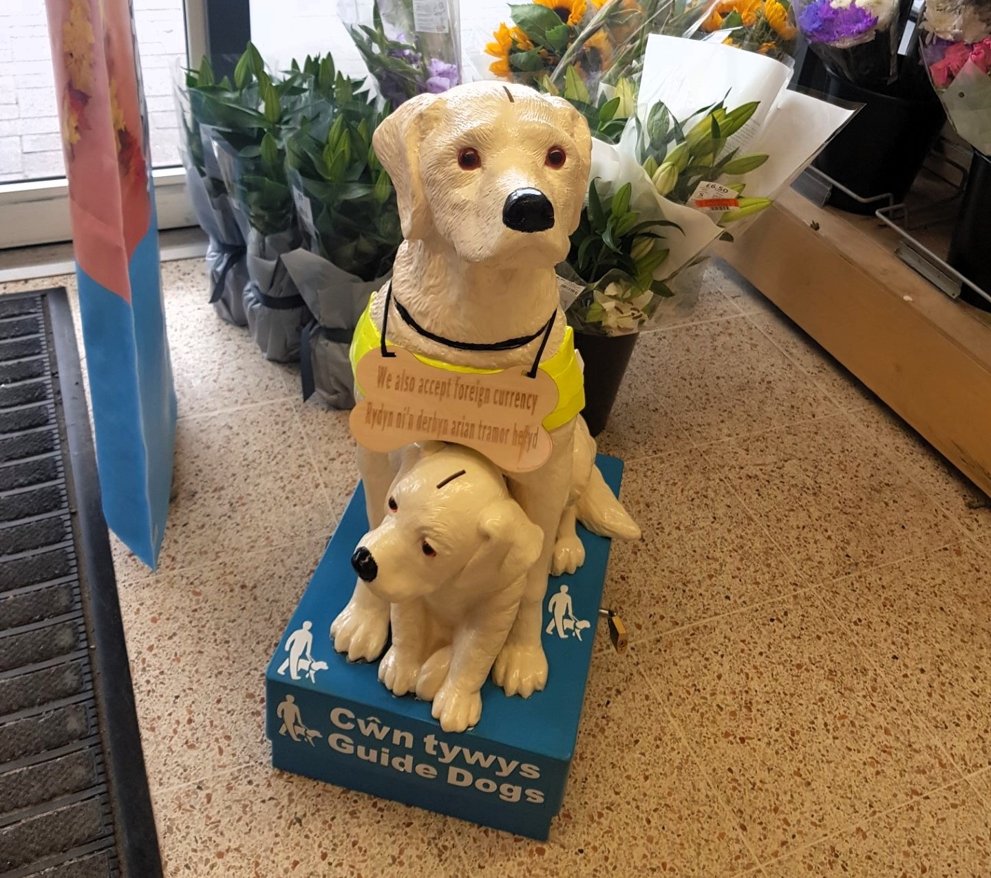 Store takes the lead for Guide Dogs Cymru