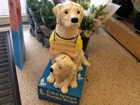Store takes the lead for Guide Dogs Cymru