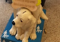 Store takes the lead for Guide Dogs Cymru