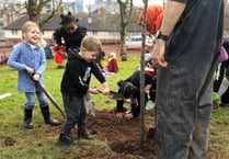 Pwllheli part of new nature project