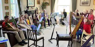 Harp school to host weekend of lessons, activities and concerts