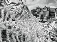 Spooky events to thrill and delight in mid Wales this Halloween